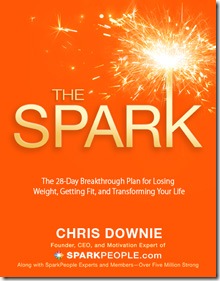 TheSparkCover (1)