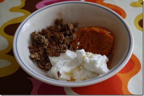 Pumpkin Yogurt