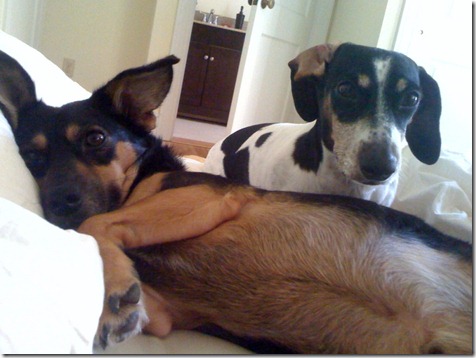 photo (14)