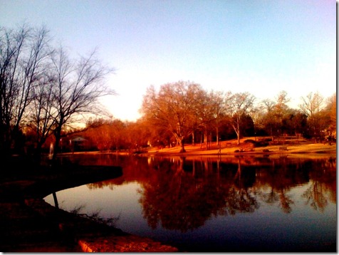 photo (32)