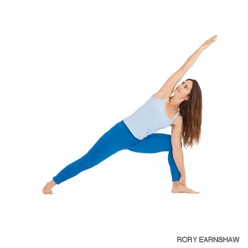 HP_220_Parsvakonasana_248