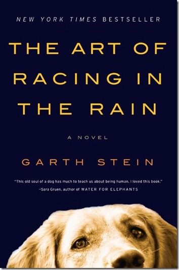 art-of-racing-in-the-rain