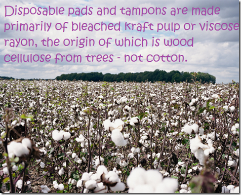 Tampons in Landfill2