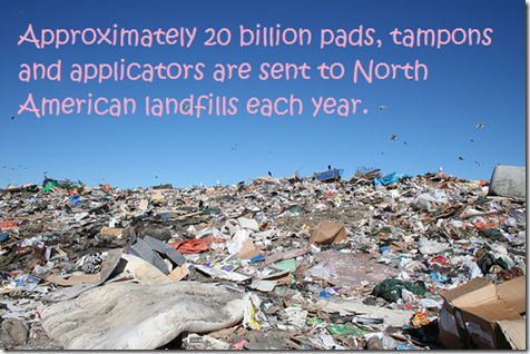Tampons in Landfill