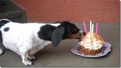 PB_ delight_Maggie