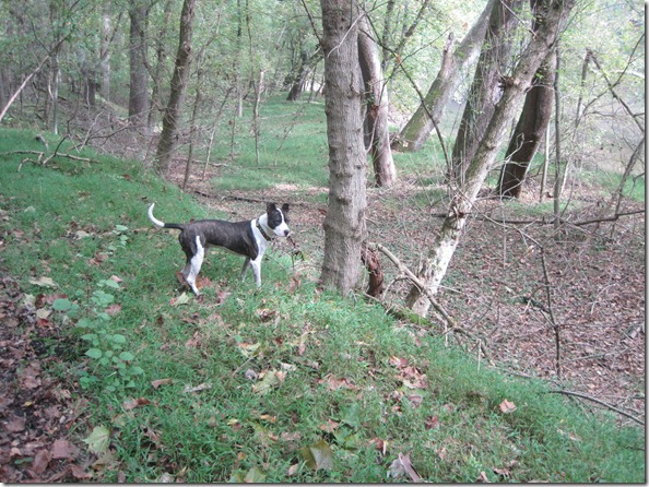 carl on the trail 011