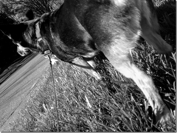 photo2