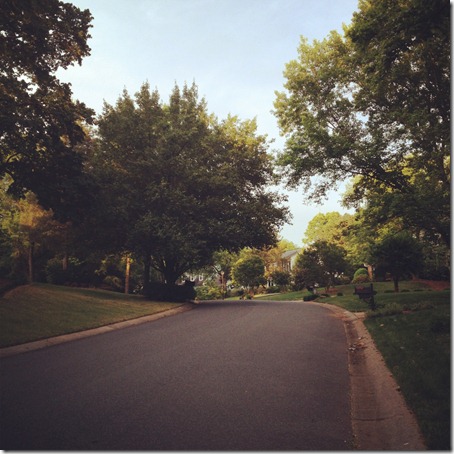 photo2