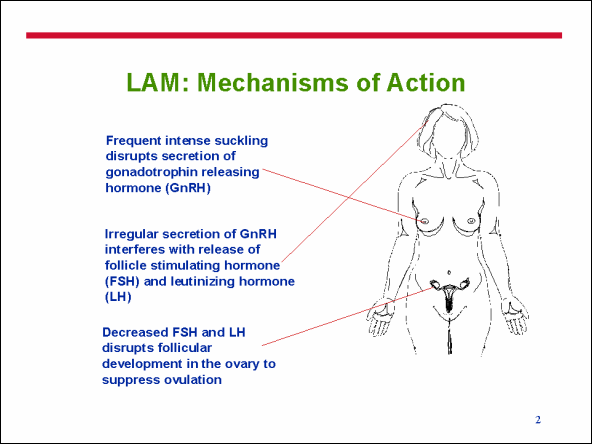 slide2