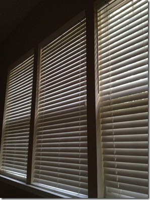 photo1