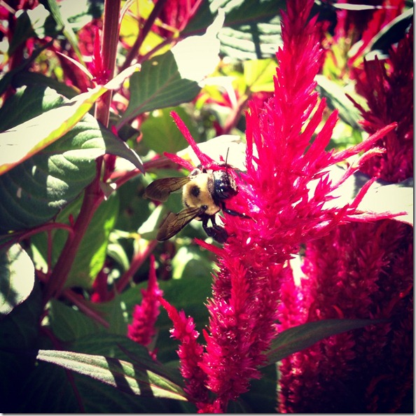 photo (1)