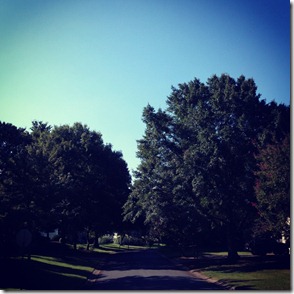 photo2