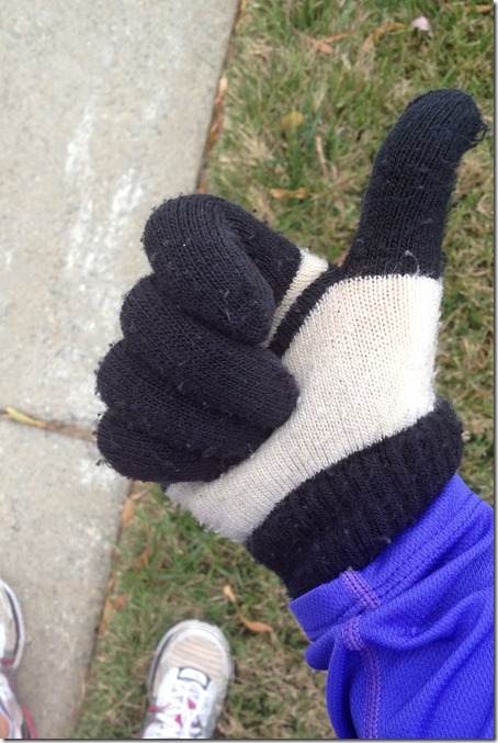 photo 2 (15)