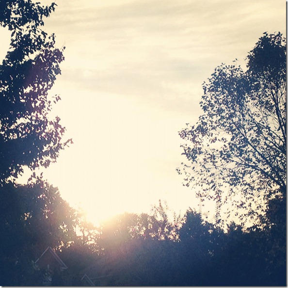 photo 4 (5)