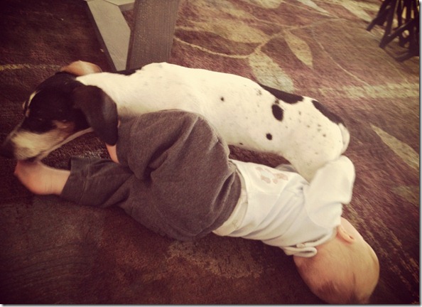 photo 1 (18)