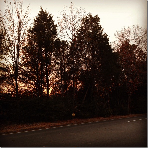 photo 1 (19)