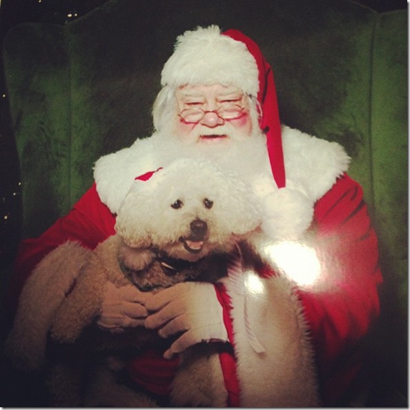 CorkynSanta