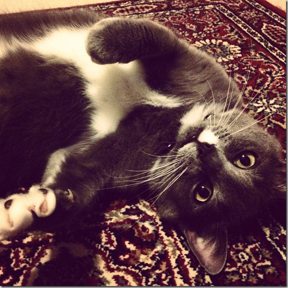 photo (19)