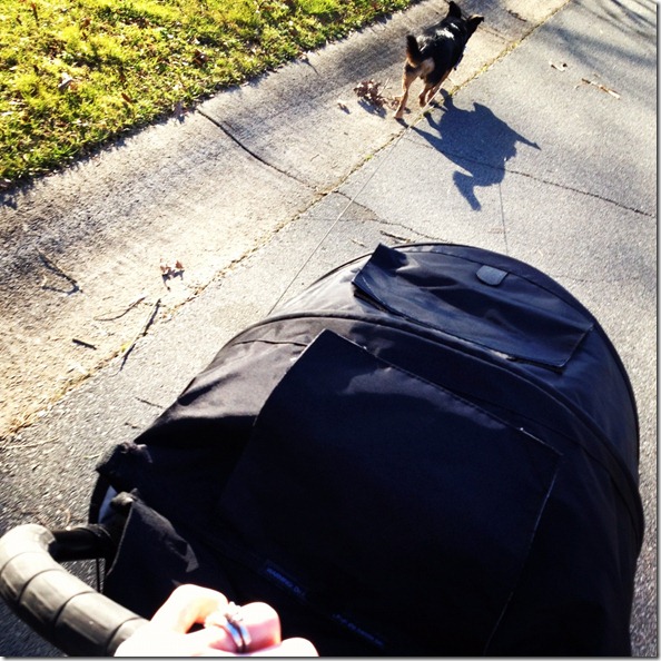 photo 2 (42)