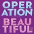 Operation Beautiful