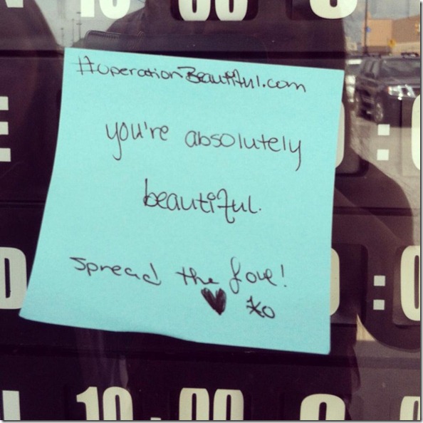 operation beautiful (1)
