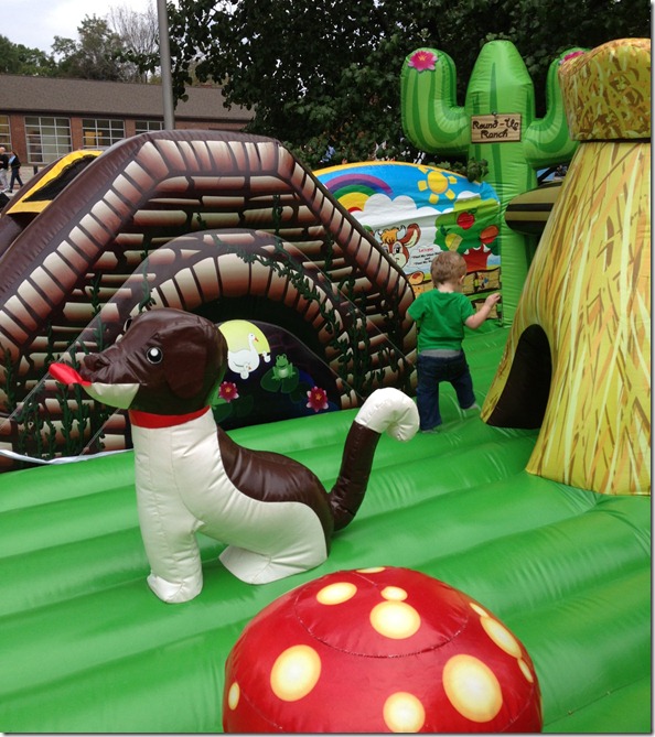 photo 4 (10)
