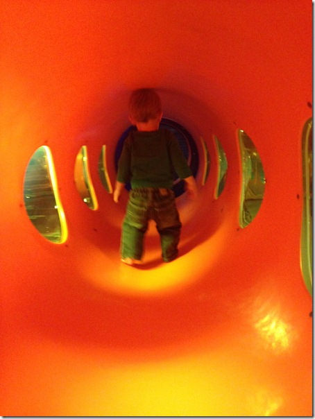 photo 2 (24)