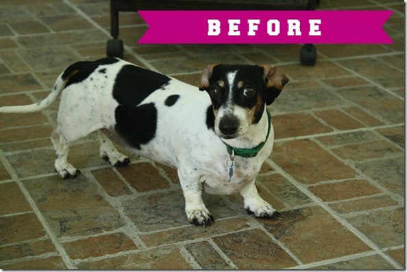 maggie - before