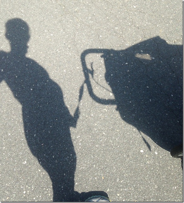 photo 1 (5)