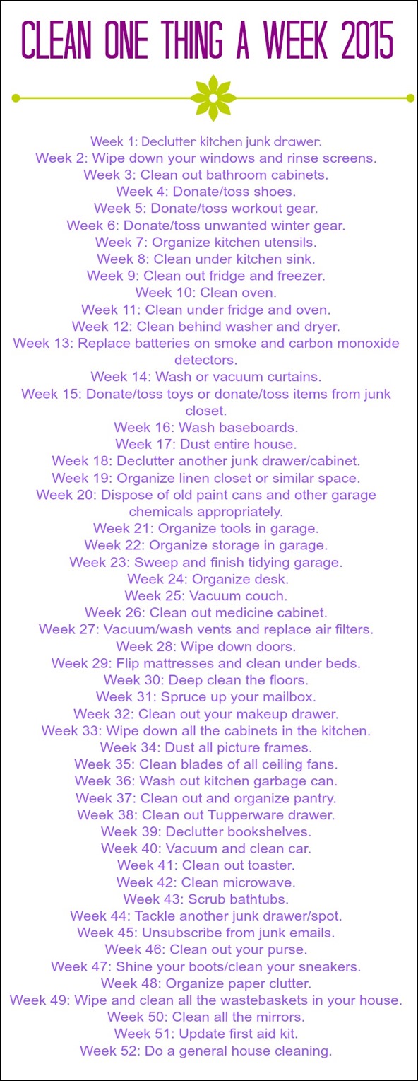 clean one thing a week 2015