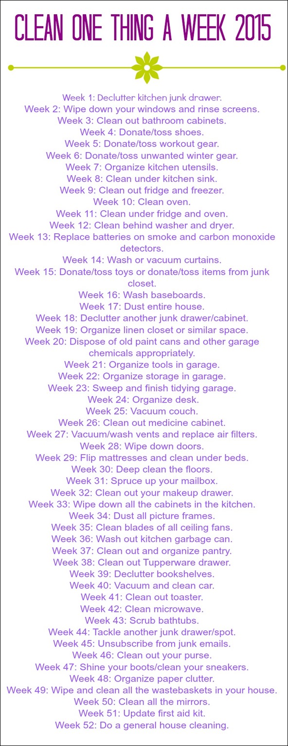 clean one thing a week 2015