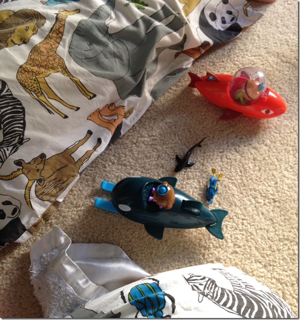 photo 1 (14)