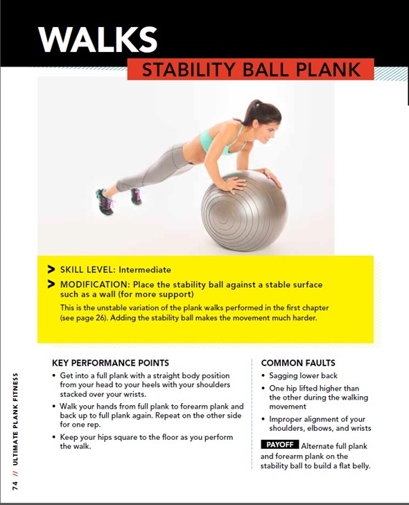 plank3
