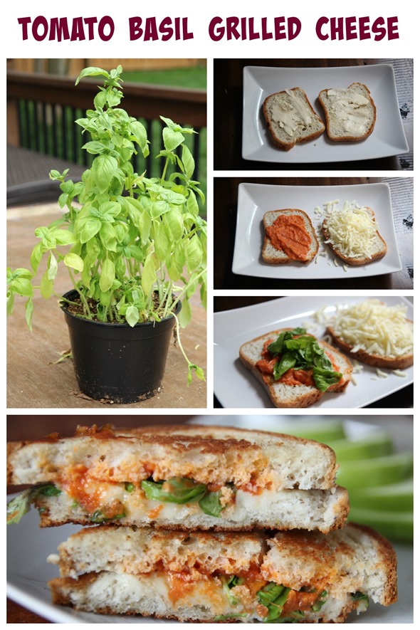 tomato basil grilled cheese