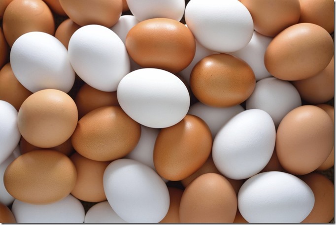 eggs