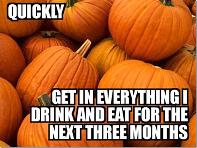 pumpkin-meme